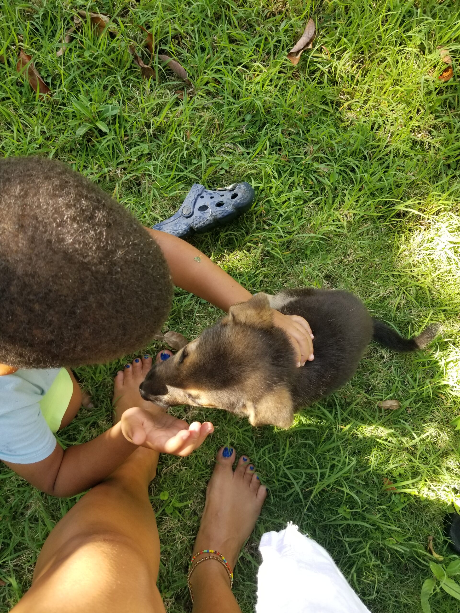 Mother and child and their puppy connecting in nature, inspired by bees and nurturing.